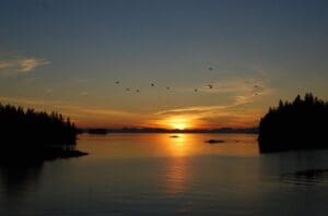 A sunset over the water with birds flying in it.