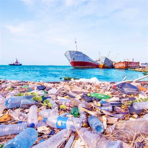 A dirty beach full of trash